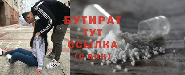 шишки Корсаков