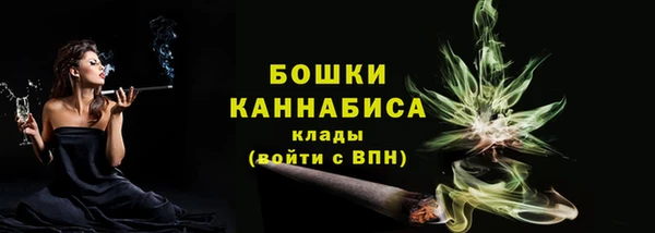 стаф Козельск