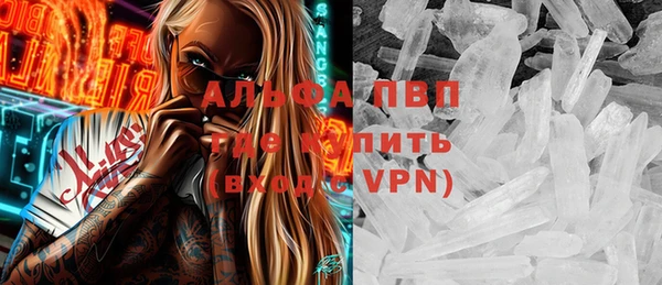 стаф Козельск