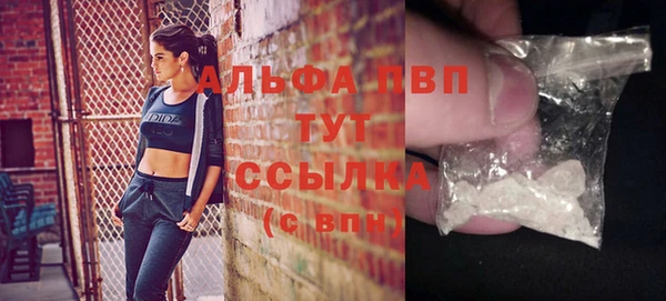 стаф Козельск