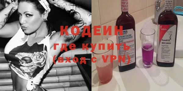 шишки Корсаков