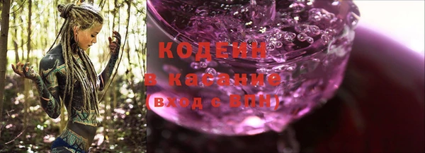 шишки Корсаков