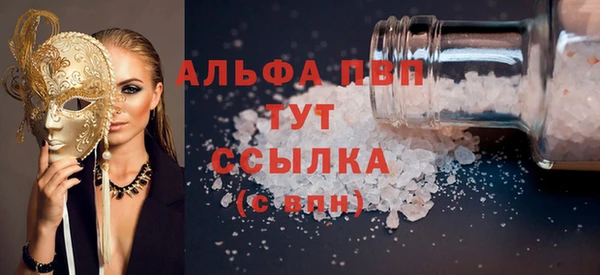 шишки Корсаков