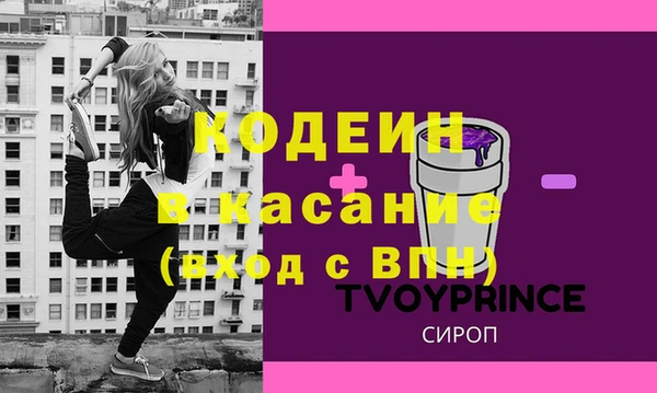шишки Корсаков