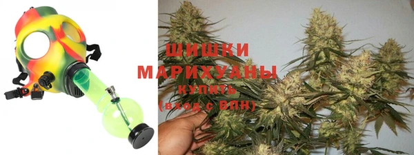 стаф Козельск