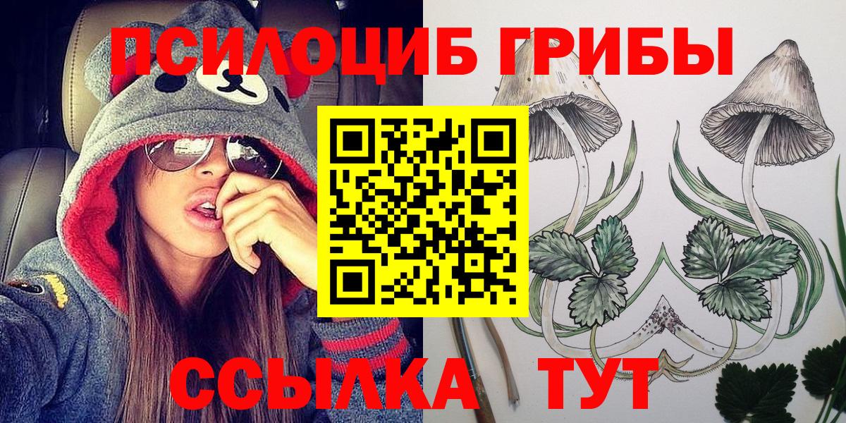 Галлюциногенные грибы Cubensis Элиста