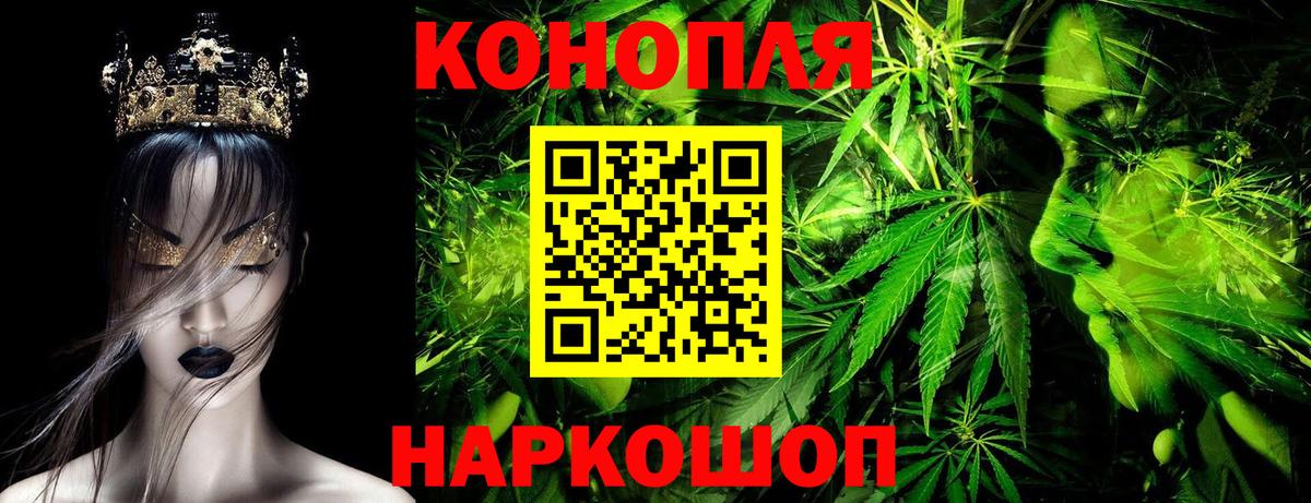 Конопля конопля Элиста